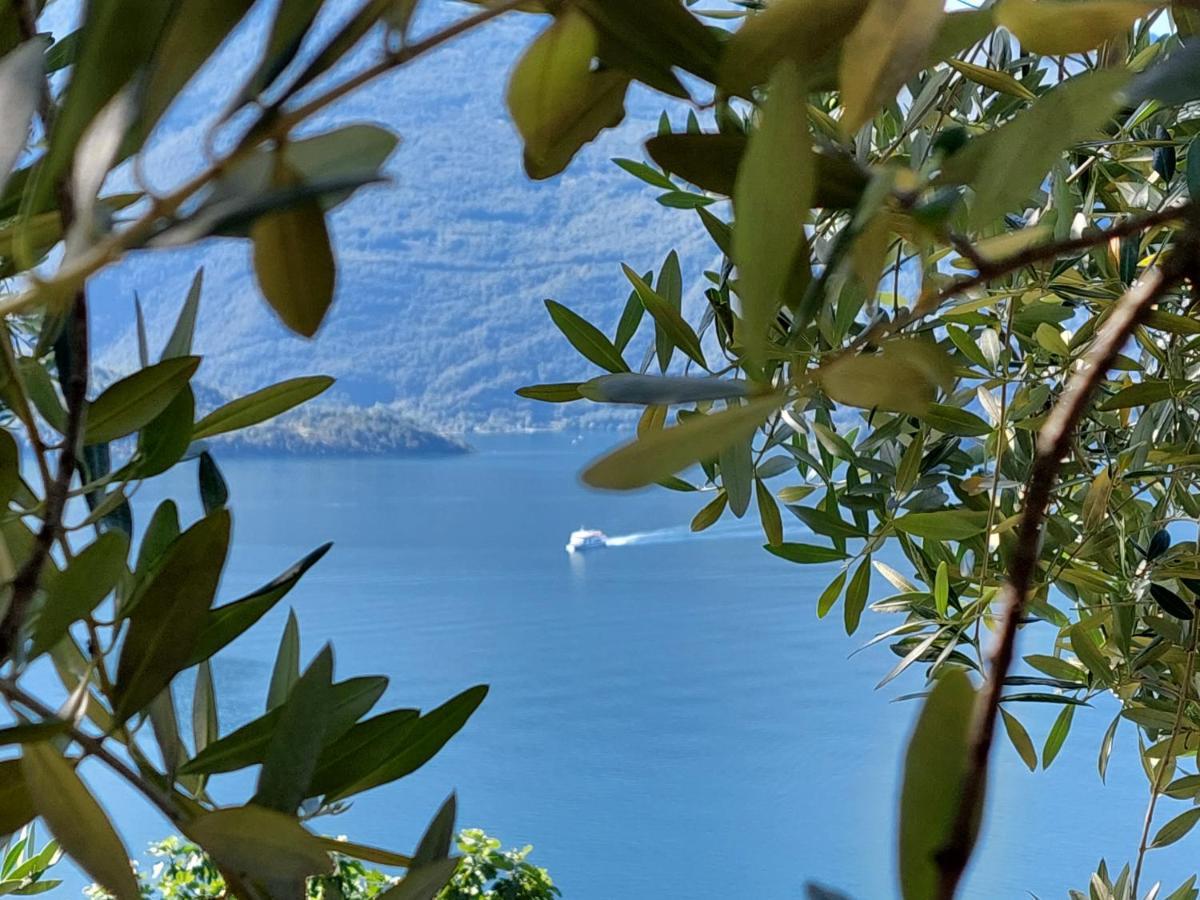 Casa Vacanze Perla Del Lago Domaso Luaran gambar