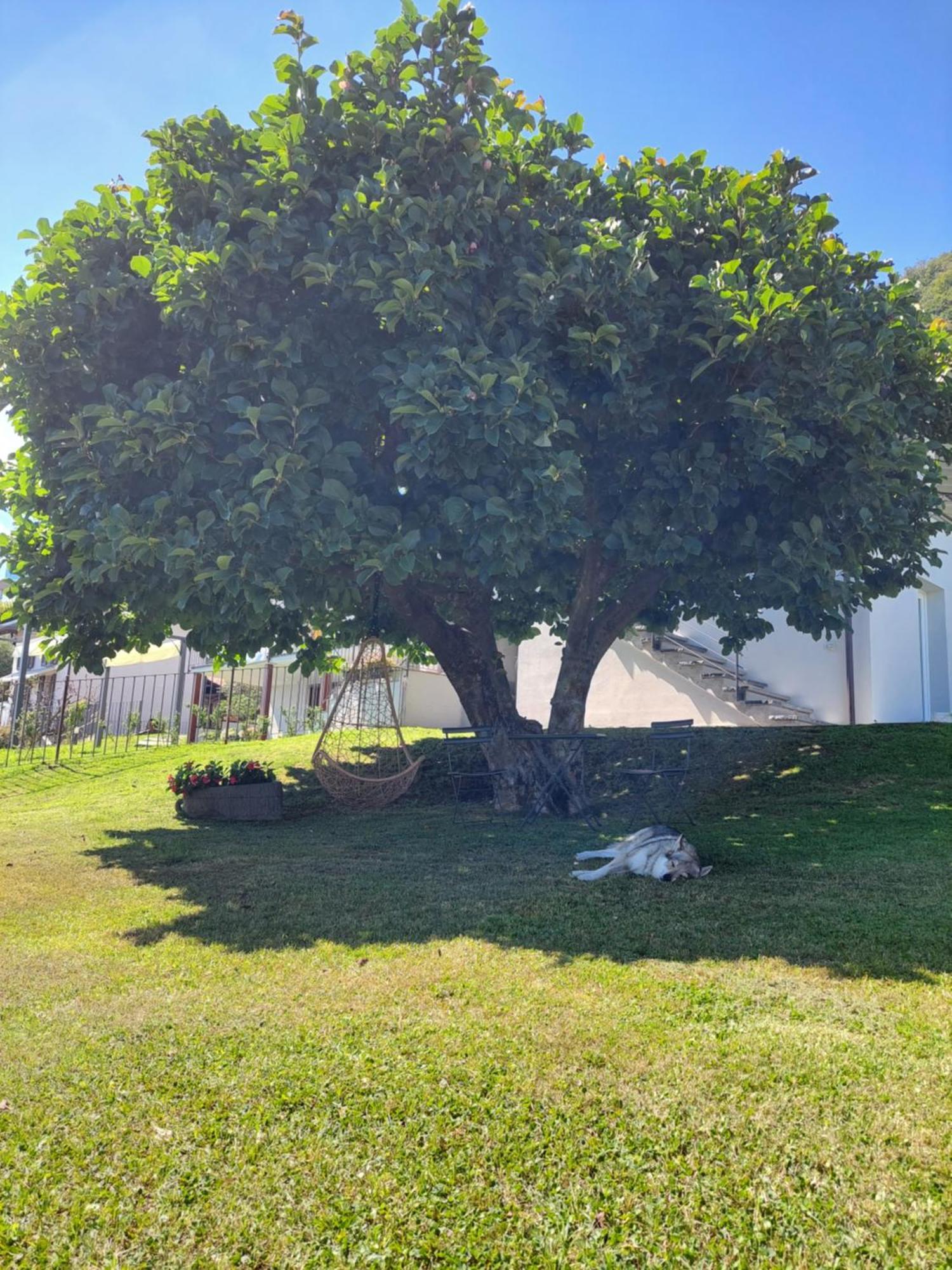 Casa Vacanze Perla Del Lago Domaso Luaran gambar